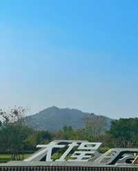 廈門大埕公園，治癒系打卡