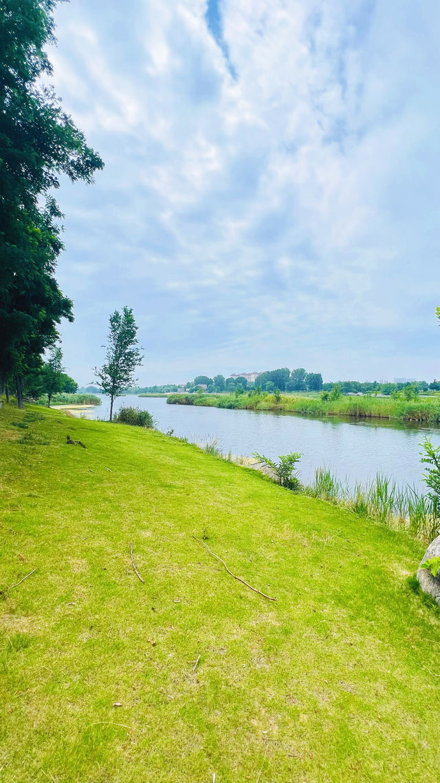 夏日暢遊煙台牟平沁水河口國家濕地公園