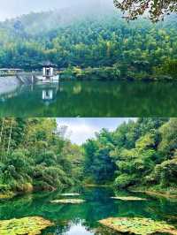 暑假大家都來南山竹海