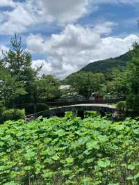跟團打卡古都攻略，大阪/京都出發