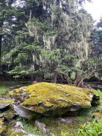 麗江+香格里拉 | 邂逅亞朵與老藥山的奇幻之旅