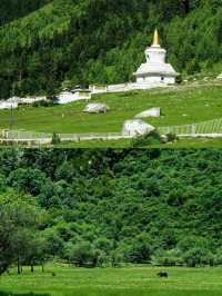 四川姊妹嘅坦白局：夏天唔嚟呢啲地方打卡，等於白過呢個夏天！