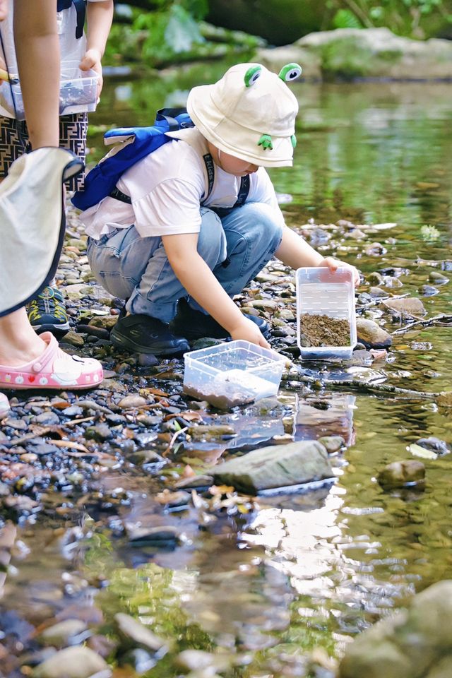 余姚親子家庭狂讚嘅神仙部落！住樹屋、追螢火蟲，嚟咗就唔想走