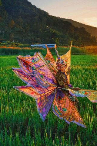 【Aesthetic Enhancement】 The Vanishing Dance of the Divine Birds!!!!