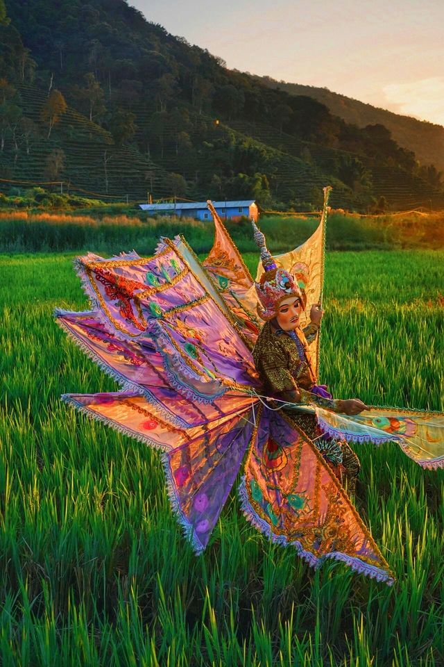 【審美提升】即將消失嘅神鳥舞！！！！
