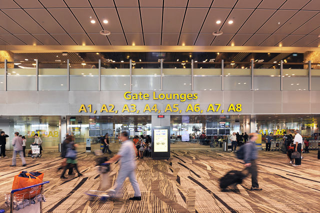 Free Sentosa Island Tour Exclusive for Changi Airport Transit