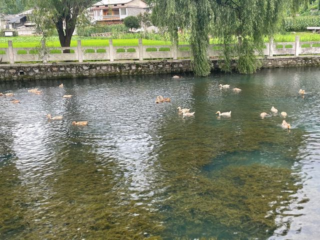安順小眾旅遊地