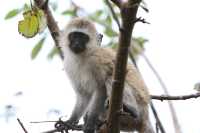 Unforgettable Stay at Olerai Lodge