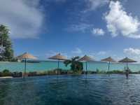 Paradise Cove: A Return Visit to Perfection