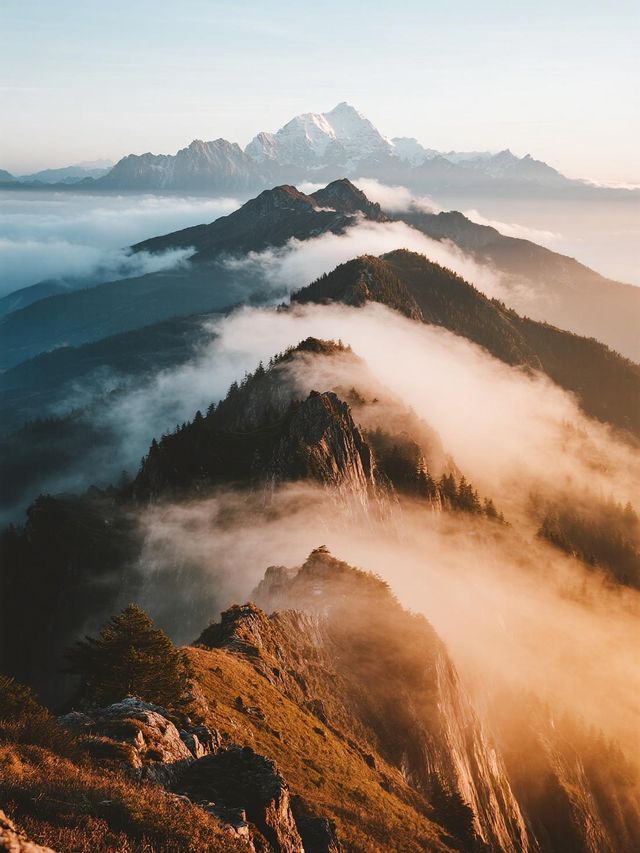 帶娃衝牛背山！雲端自駕不踩雷，看日照金山超輕鬆