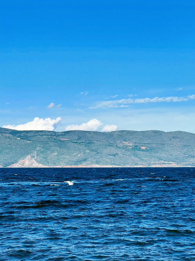 大理國慶假期最佳安排|獨享洱海的靜謐 大理國慶假期最佳安排|獨享洱海的靜謐