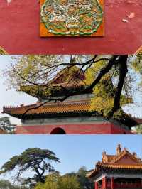 南方人赴沈記：十一北陵賞楓品菊與豪澤酒店的暖心時光