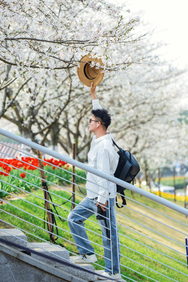 寧波前灣賞花攻略｜春日限定浪漫，邂逅花海