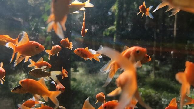 杭州太好拍了吧!西湖+靈隱寺絕美打卡攻略來啦~ 杭州太好拍了吧!西湖+靈隱寺絕美打卡攻略來啦~