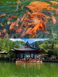 【縉雲仙都遛娃保姆級攻略】國慶親測！輕鬆不累解鎖仙氣與童趣