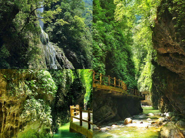 【重慶黑山谷｜夏日清涼秘境全攻略】