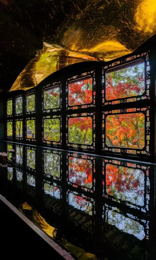 가을의 쑤저우를 벌써부터 기대하는 것이야말로 중식 미학의 최고봉입니다