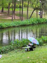陰雨天の森系秘境