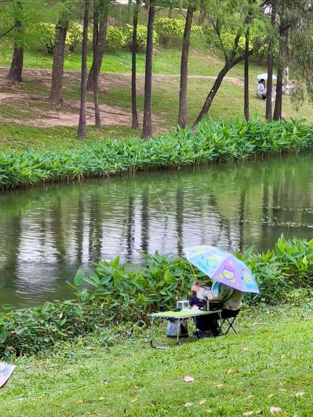 陰雨天の森系秘境