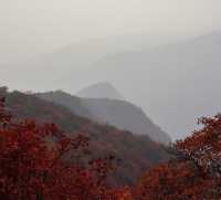 阜平深秋美景正式解鎖啦