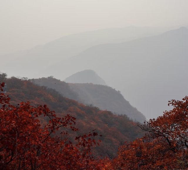 阜平深秋美景正式解鎖啦