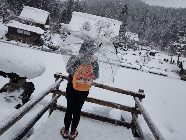 飛驒民俗村的那場大雪