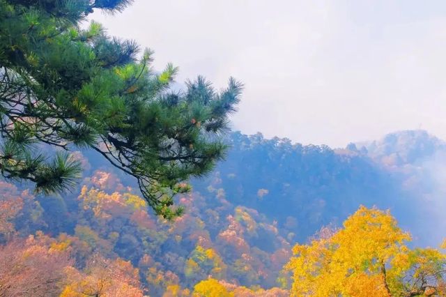 秋色秦嶺,絕美秘境 秋色秦嶺,絕美秘境