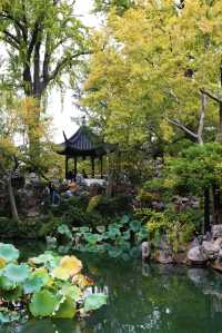 江南秋色藏留園讓人忍不住愛了又愛!