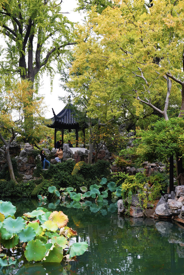 江南秋色藏留園讓人忍不住愛了又愛! 江南秋色藏留園讓人忍不住愛了又愛!