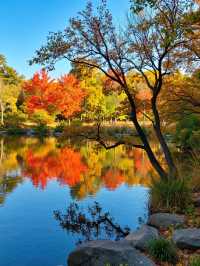 雲平山｜上帝打翻了秋天的調色盤小眾仙境太絕了