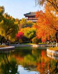 打卡唐風秋韻|邂逅城市邊的詩意與溫柔|收穫滿滿的治癒與快樂