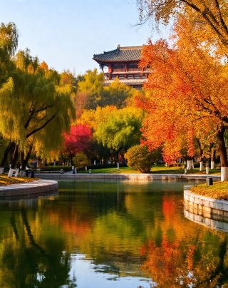 Check in Tang-style Autumn Charm | Encounter the Poetry and Tenderness on the City’s Edge | Harvest Full Healing and Joy