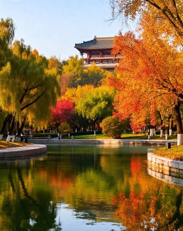 打卡唐風秋韻|邂逅城市邊的詩意與溫柔|收穫滿滿的治癒與快樂