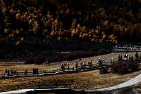 今又立冬，穿越冰峰遇見稻城亞丁