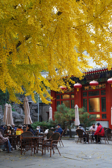 北京旅遊｜北海公園，紅牆黛瓦的最美金秋