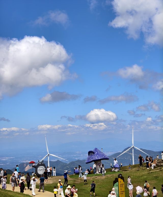 郴州仰天湖!闖入宮崎駿的1314米童話草原🌿 郴州仰天湖!闖入宮崎駿的1314米童話草原🌿