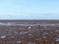 Pantai Bagan Lalang🏖️ : A Tranquil Beach Escape Near KLIA