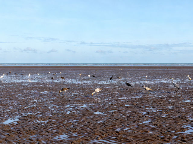 Pantai Bagan Lalang🏖️ : A Tranquil Beach Escape Near KLIA Pantai Bagan Lalang🏖️ : A Tranquil Beach Escape Near KLIA