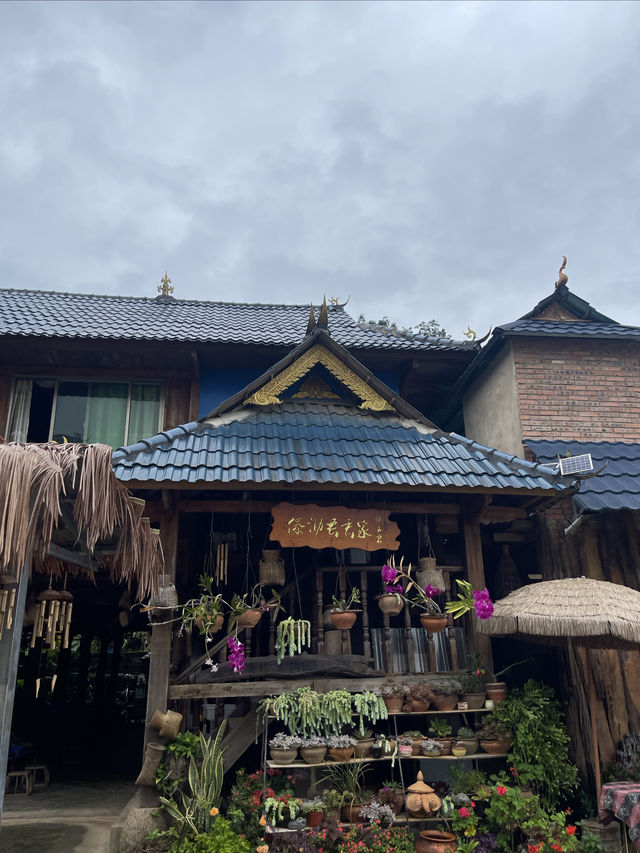 闖入雨林秘境探索千年曼丟古寨，傣家風情拍不停