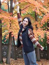 趁著沒火不收費，趕緊來吧！