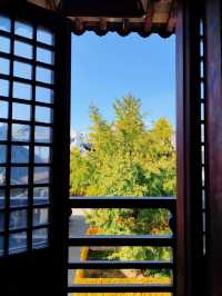 真如寺的銀杏還要等等,美味齋飯卻不用等