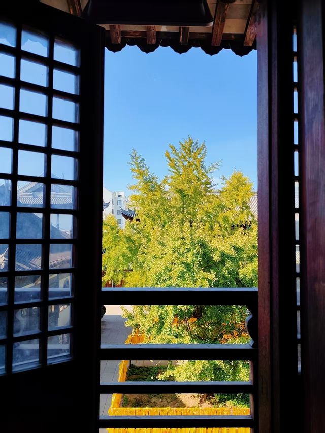 真如寺的銀杏還要等等,美味齋飯卻不用等 真如寺的銀杏還要等等,美味齋飯卻不用等