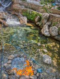 摩洛哥免簽 攻略直接抄作業