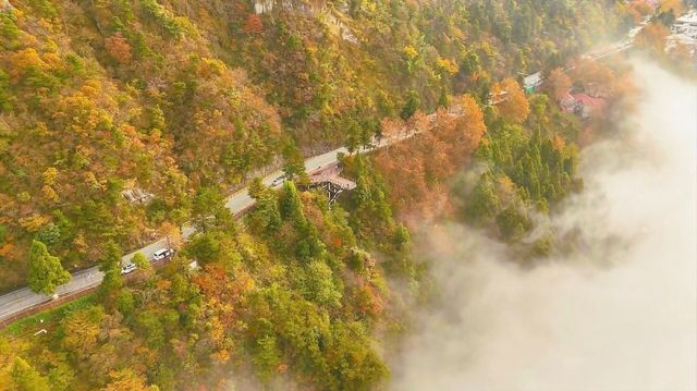 秋冬廬山雲端仙境避人海秘笈