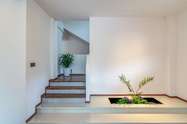 皖南紅杉林 + 竹海挖筍！智能美墅太絕