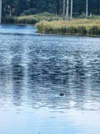 秋日泛舟雅女湖