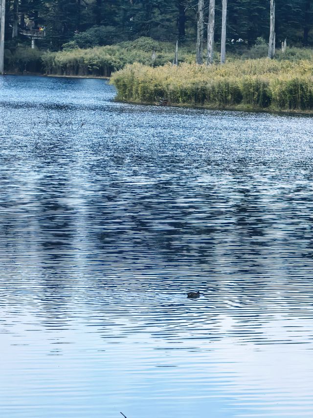 秋日泛舟雅女湖