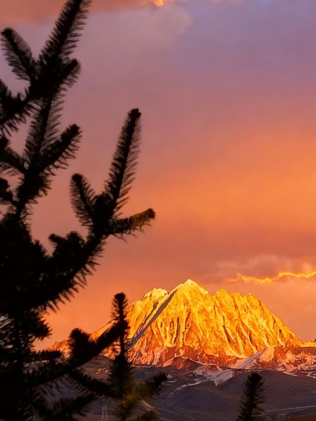 川西秋日封神！每一幀都像闖進油畫裡