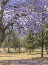 墨西哥等多國19日連遊攻略