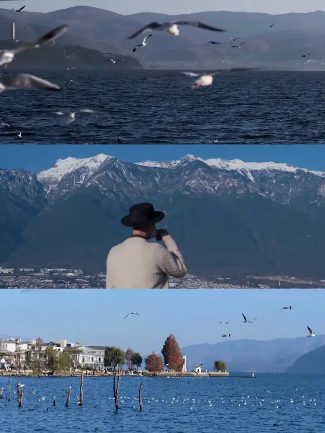 Dali after the first snow is simply an earthly paradise!